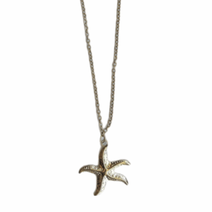 Starfish ketting 1