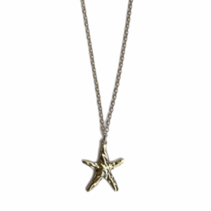 Starfish ketting 2